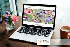 site-internet-Agence de communication