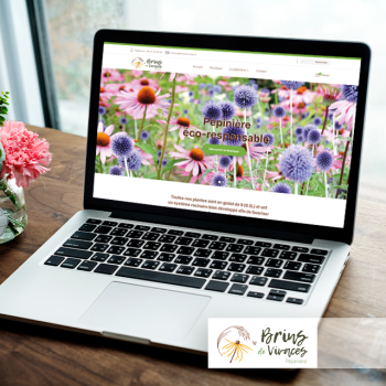 site-internet-Agence de communication