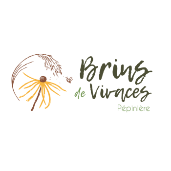 logo-brins-de-vivaces
